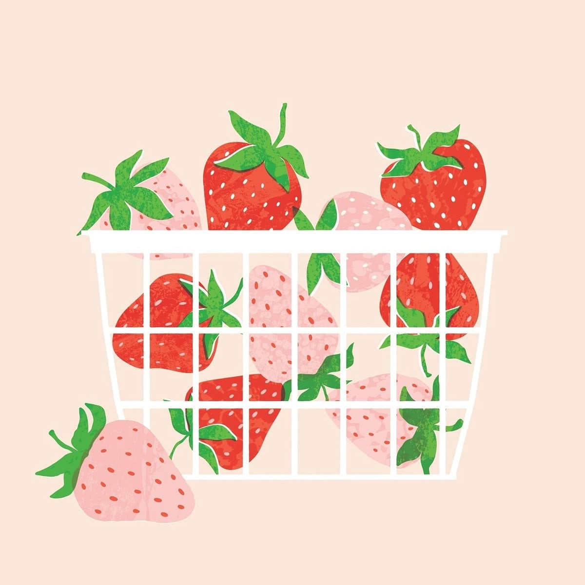 LOT DE 10 COURS PRIVÉS